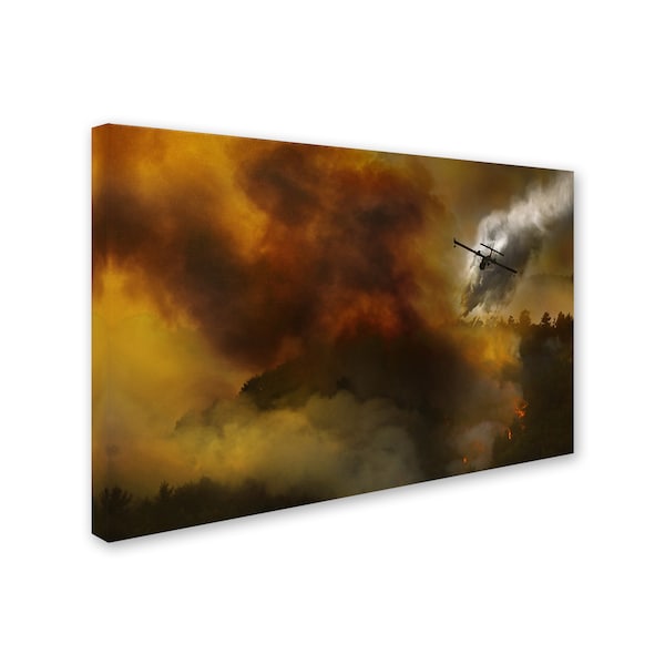 Antonio Grambone 'Fire In National Park Of Cilento Italy' Canvas Art,30x47